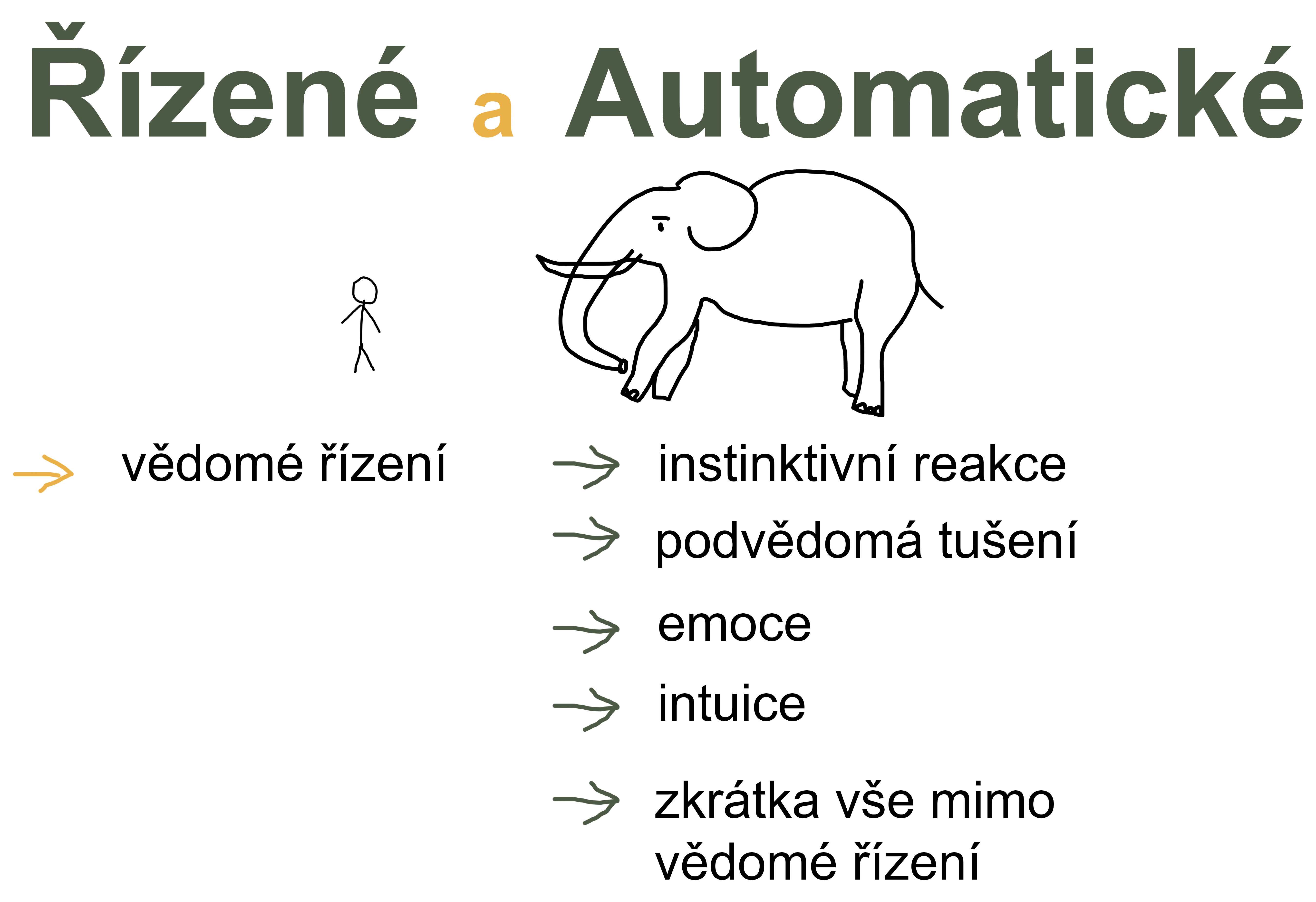 Jedec = vědomé řízení, slon = instinktivní reakce, emoce, vše ostatní